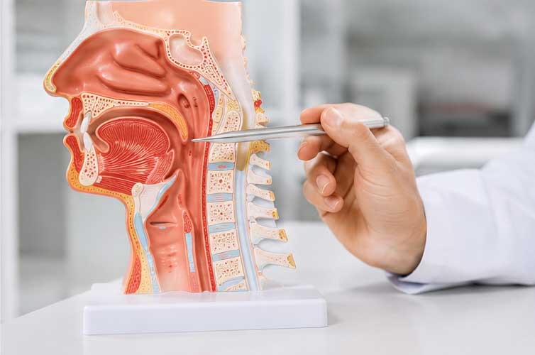لوزه و لوزه سوم چه تفاوتی با یکدیگر دارند؟